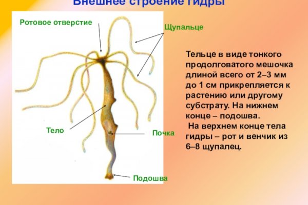 Кракен официальный сайт онион