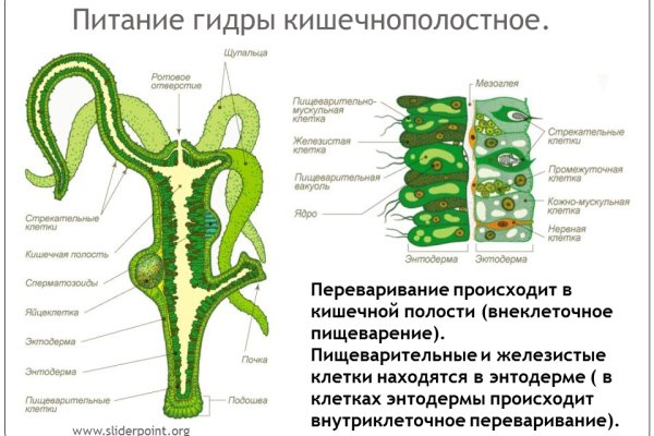 Что такое кракен только через тор